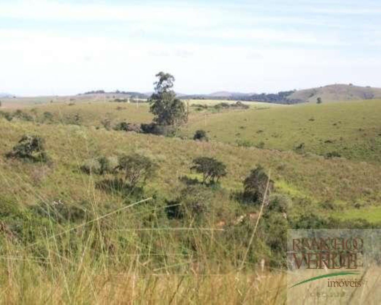 Fazenda de 306 ha em Andrelândia, MG