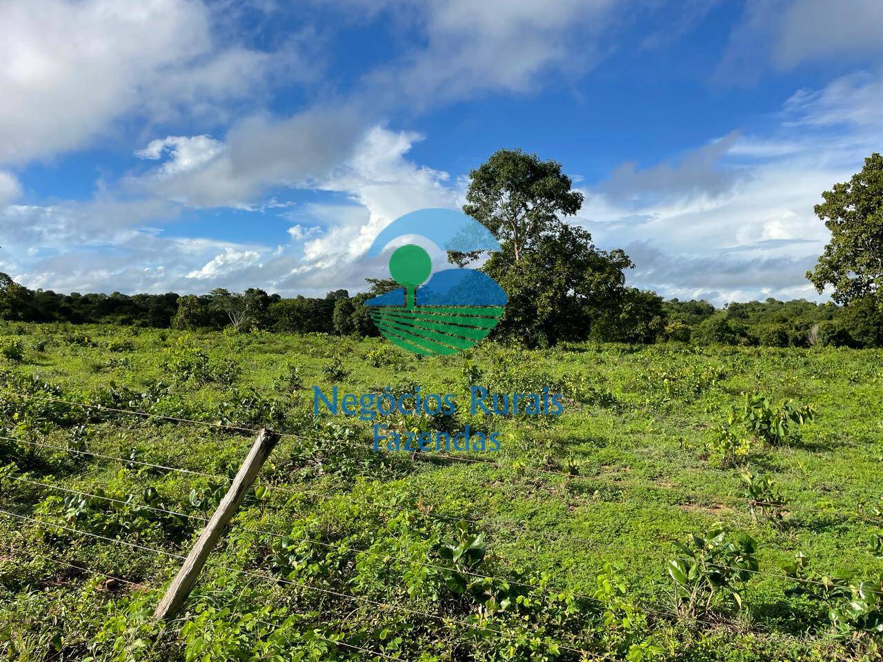 Fazenda de 1.064 ha em Porangatu, GO