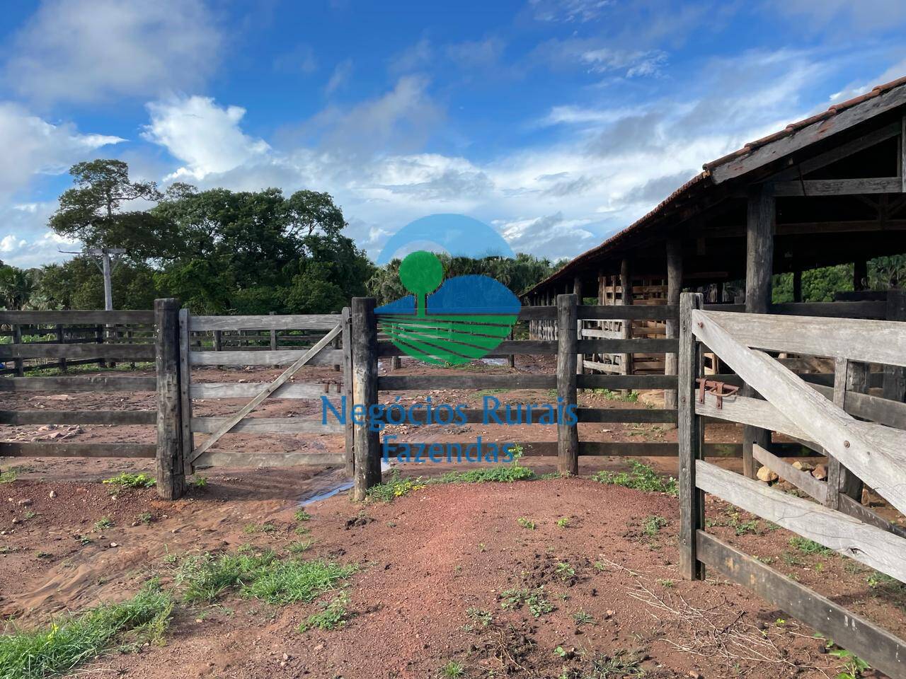 Fazenda de 1.064 ha em Porangatu, GO