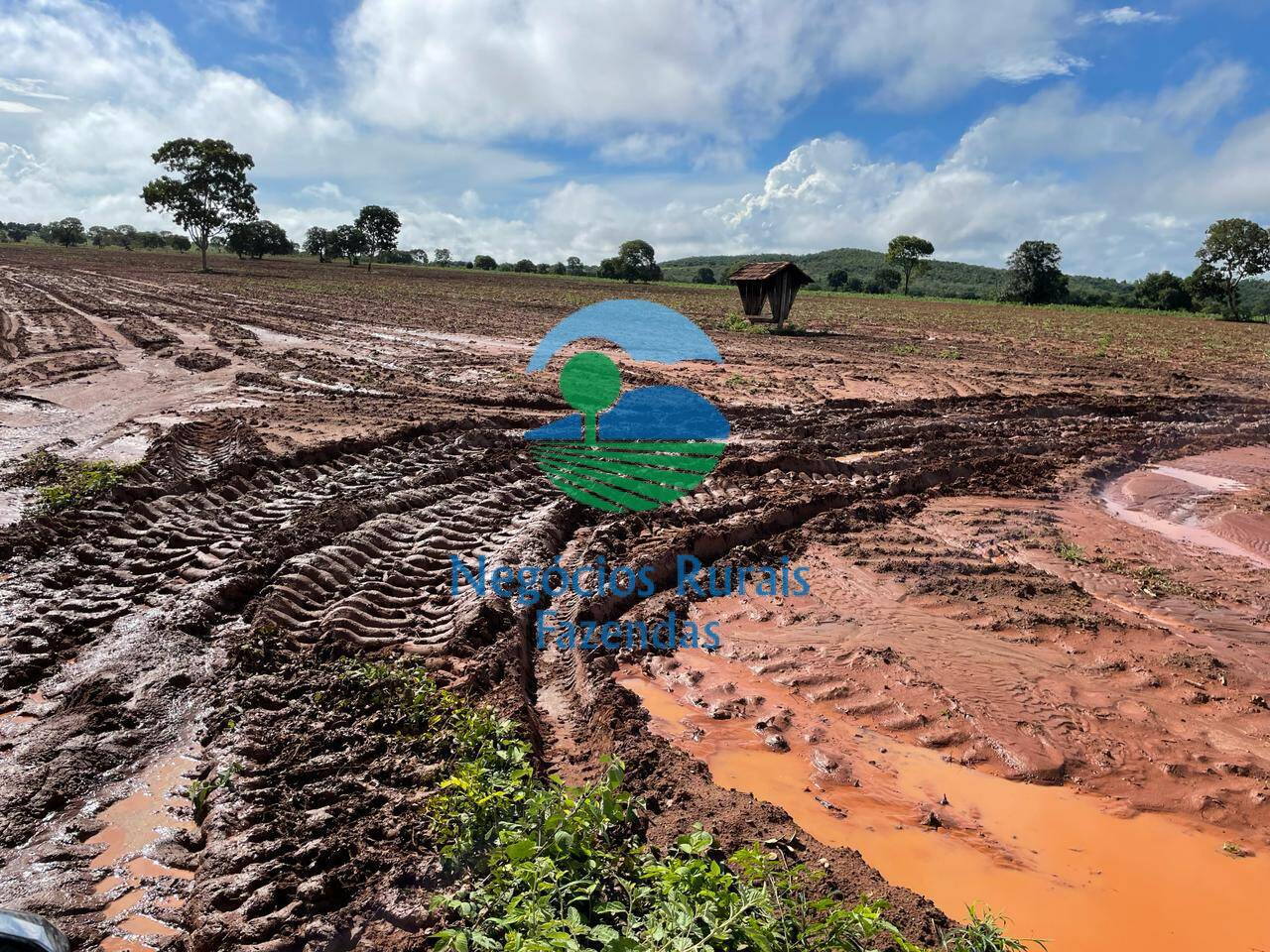 Fazenda de 1.064 ha em Porangatu, GO