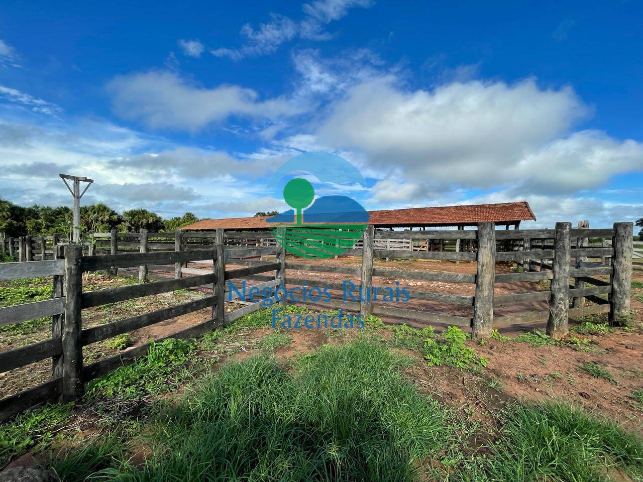 Fazenda de 1.064 ha em Porangatu, GO