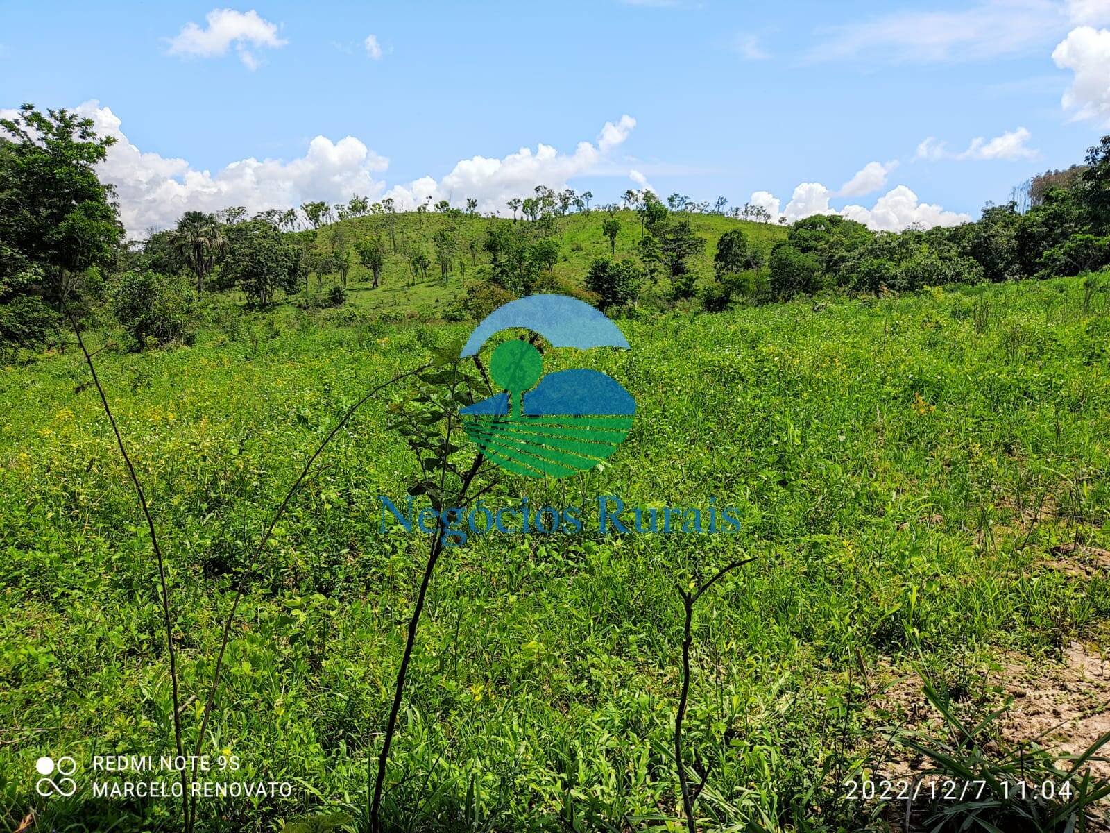 Fazenda de 145 ha em Padre Bernardo, GO