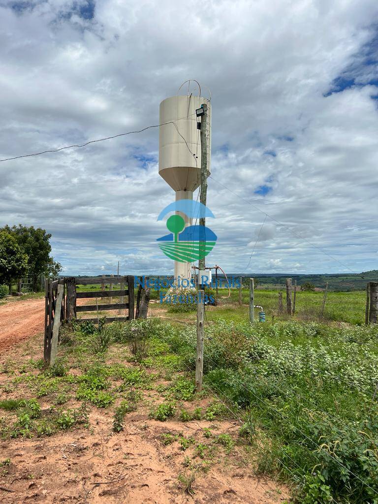 Fazenda de 542 ha em Caiapônia, GO