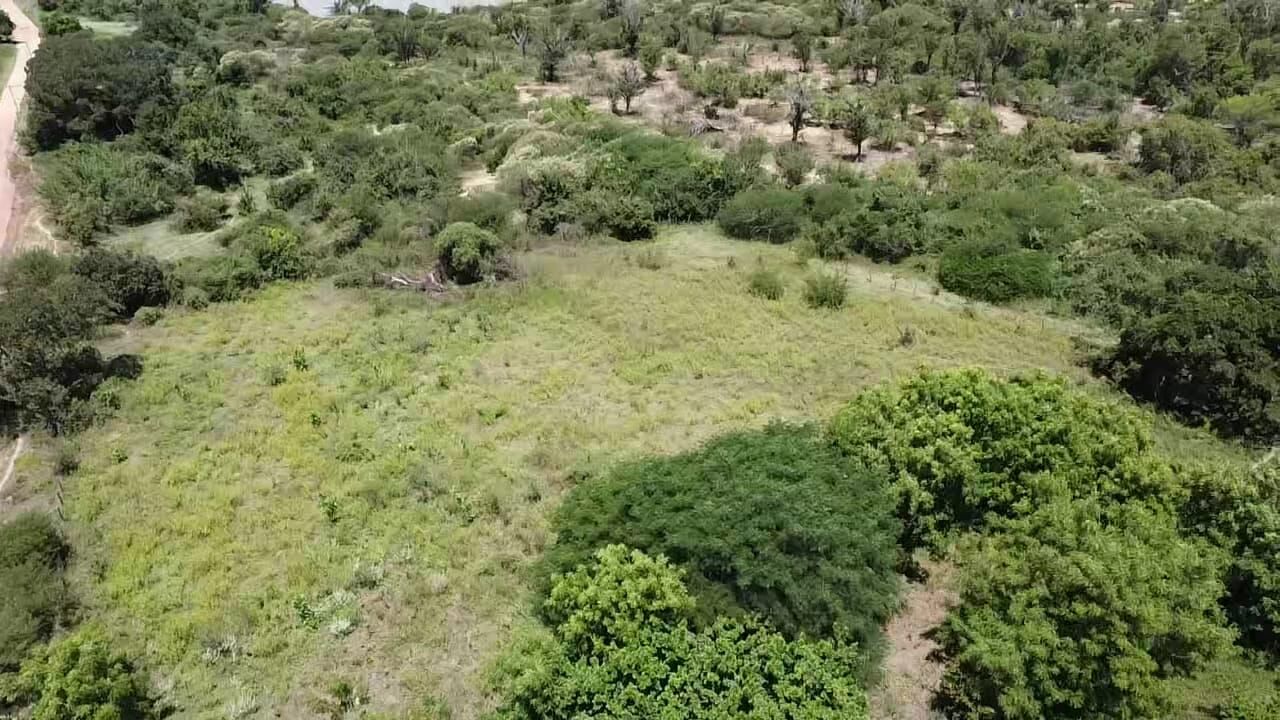 Fazenda de 348 ha em Ibotirama, BA