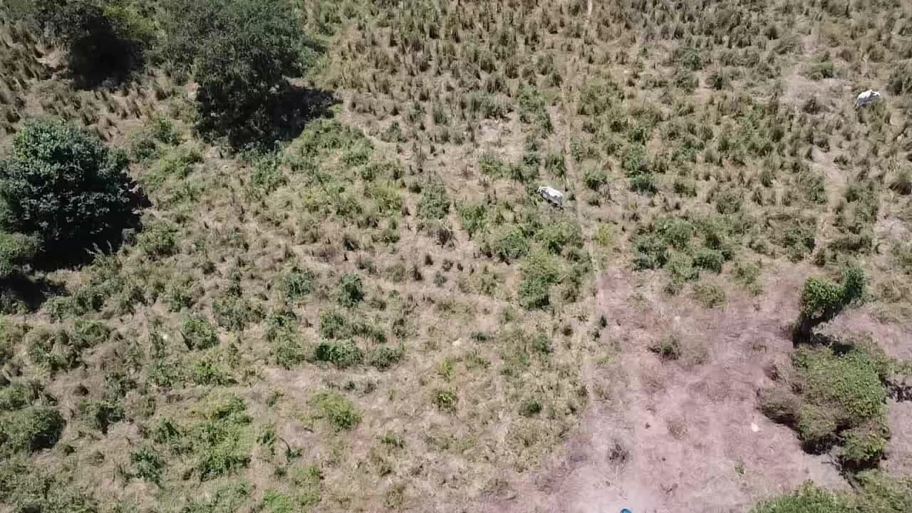 Fazenda de 348 ha em Ibotirama, BA