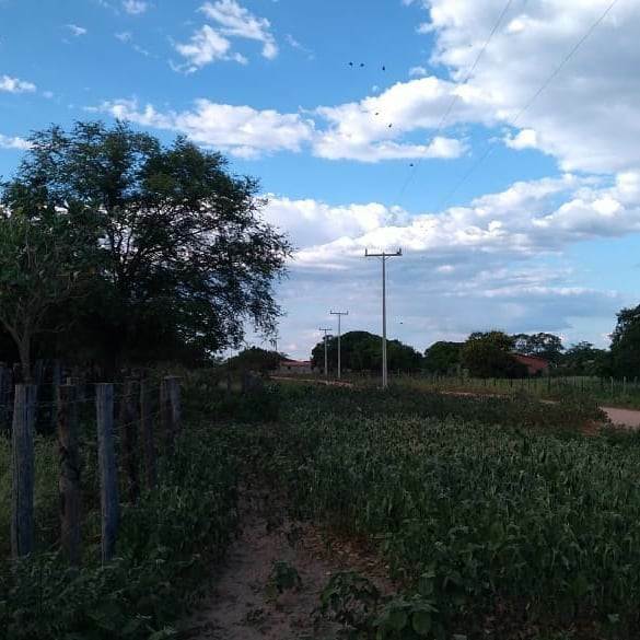 Fazenda de 348 ha em Ibotirama, BA