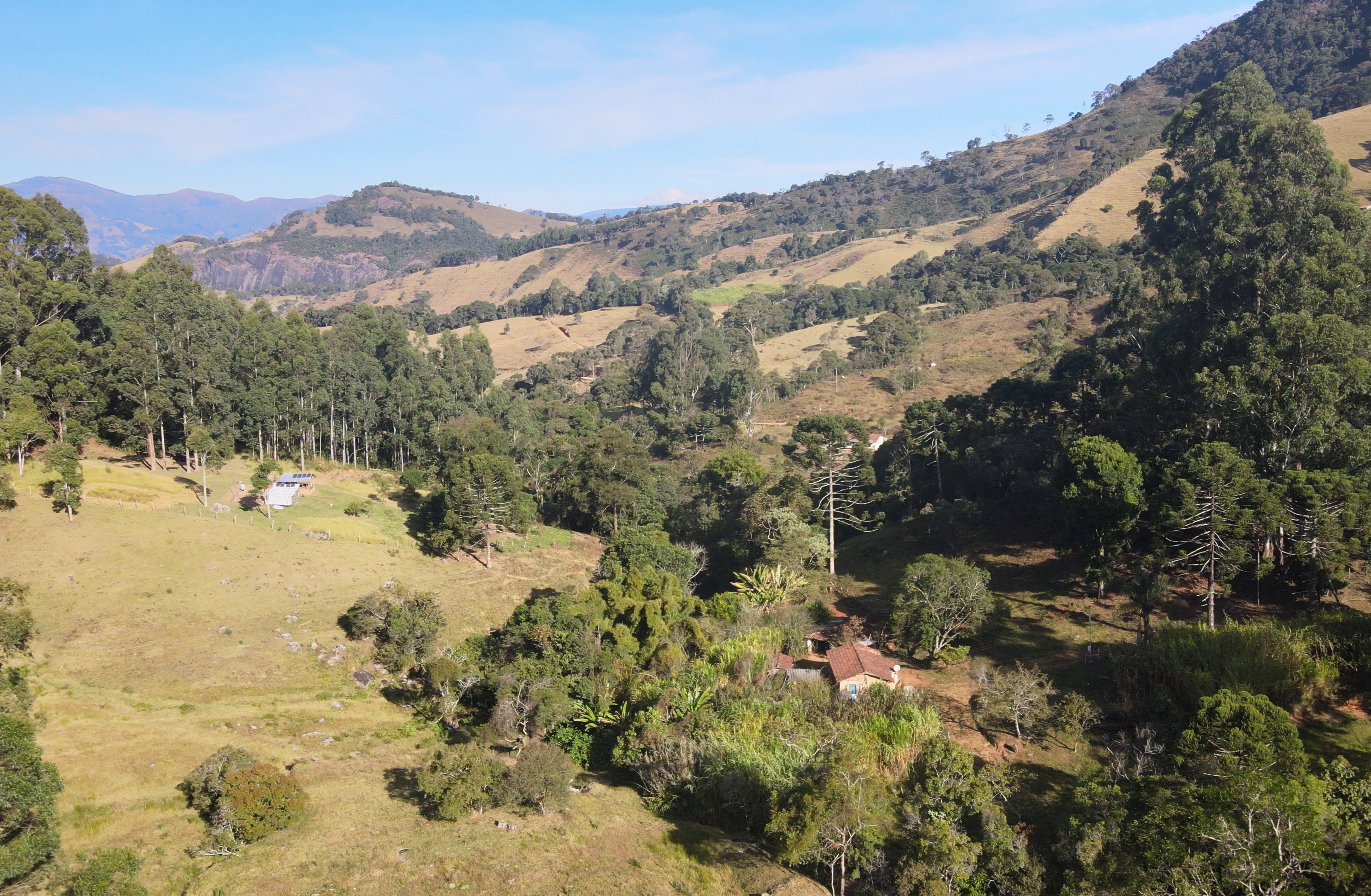 Fazenda de 24 ha em Alagoa, MG