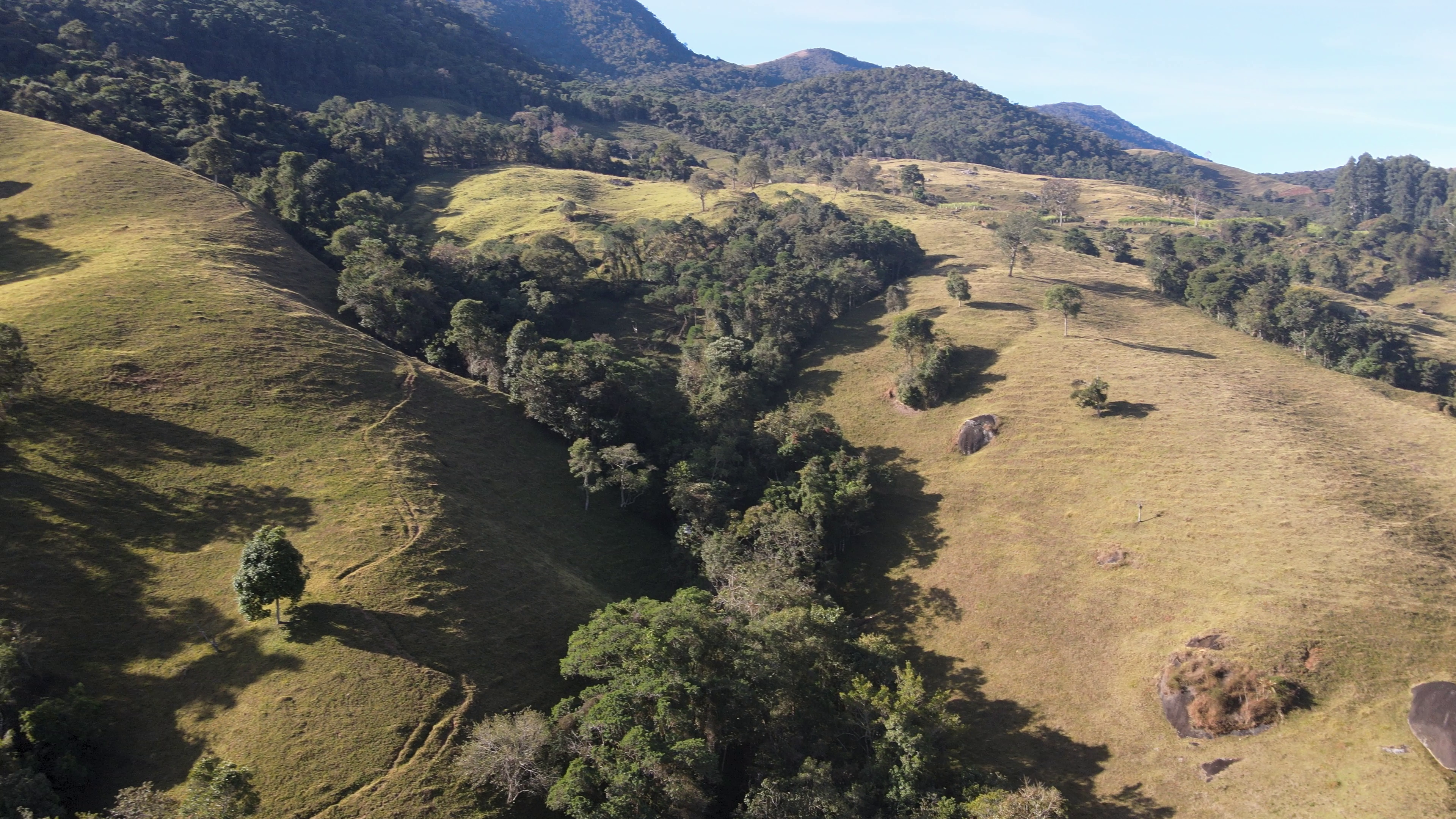 Fazenda de 24 ha em Alagoa, MG