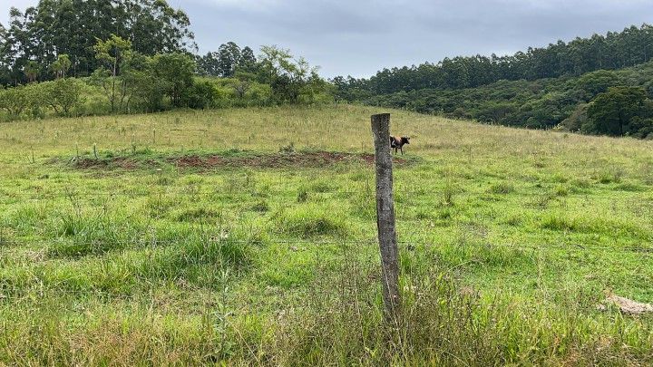 Chácara de 4 ha em Caraá, RS