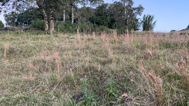 Chácara de 4.800 m² em Rolante, RS