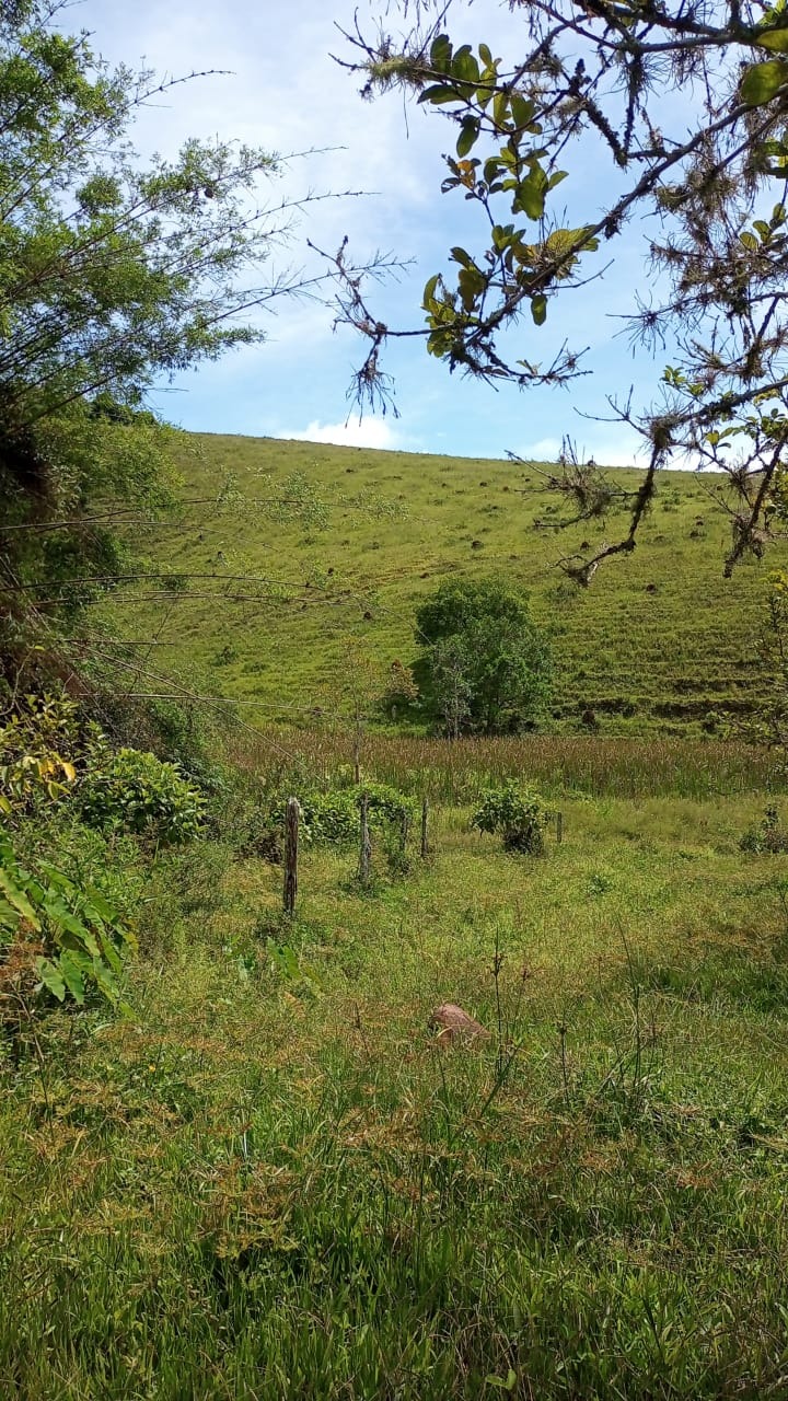 Sítio de 12 ha em São José dos Campos, SP