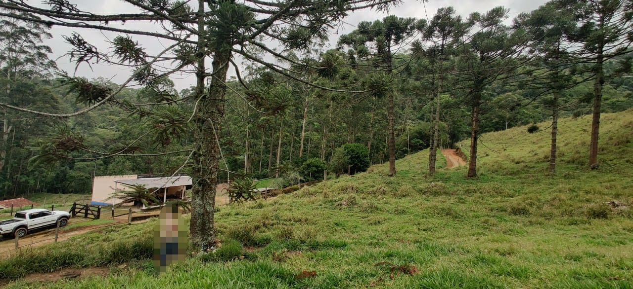 Sítio de 65 ha em Cruzeiro, SP