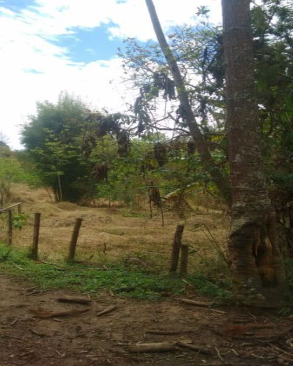 Fazenda de 97 ha em Lorena, SP