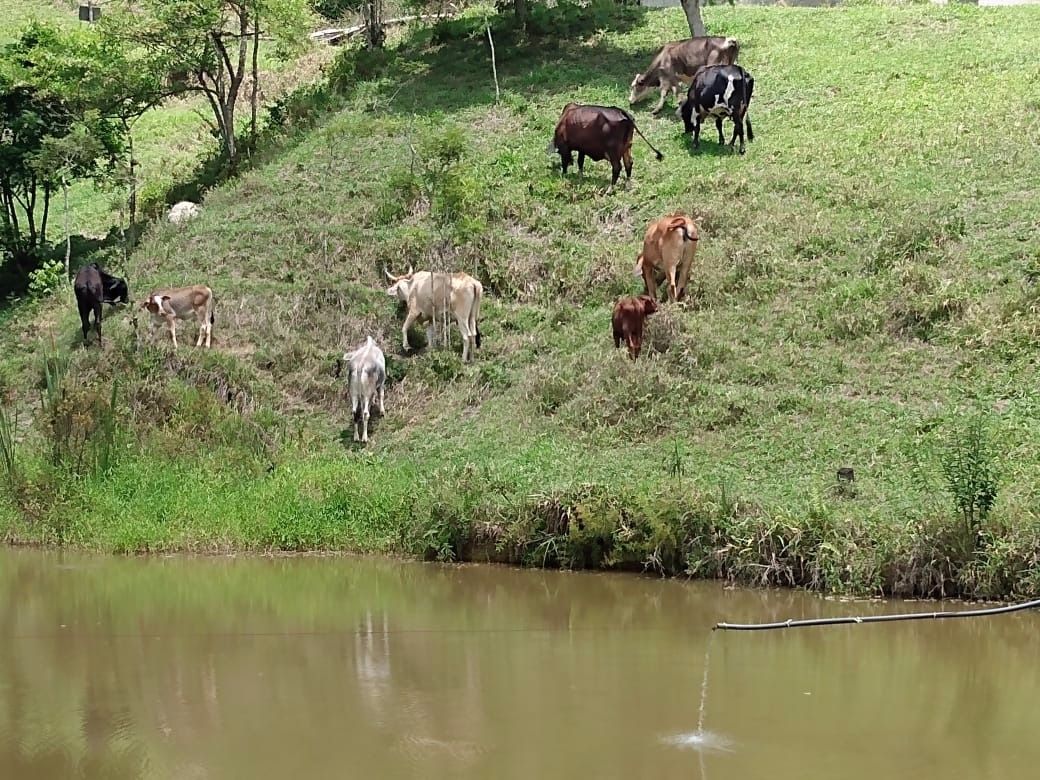 Chácara de 2 ha em Paraibuna, SP