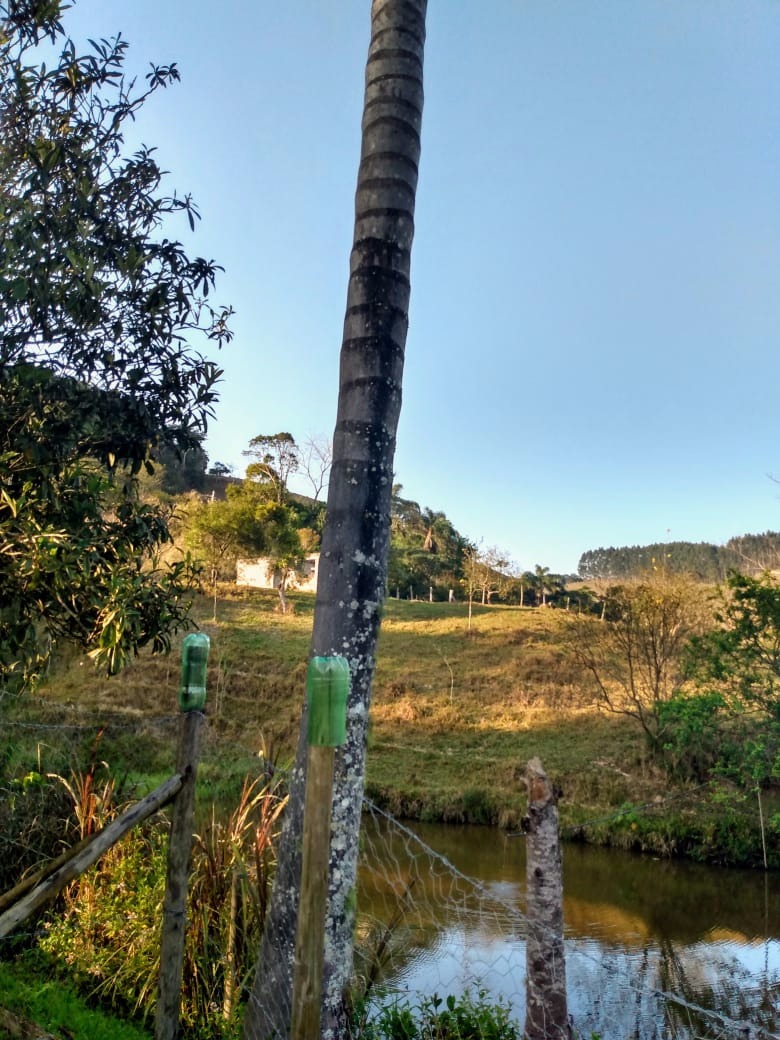 Chácara de 2 ha em Paraibuna, SP