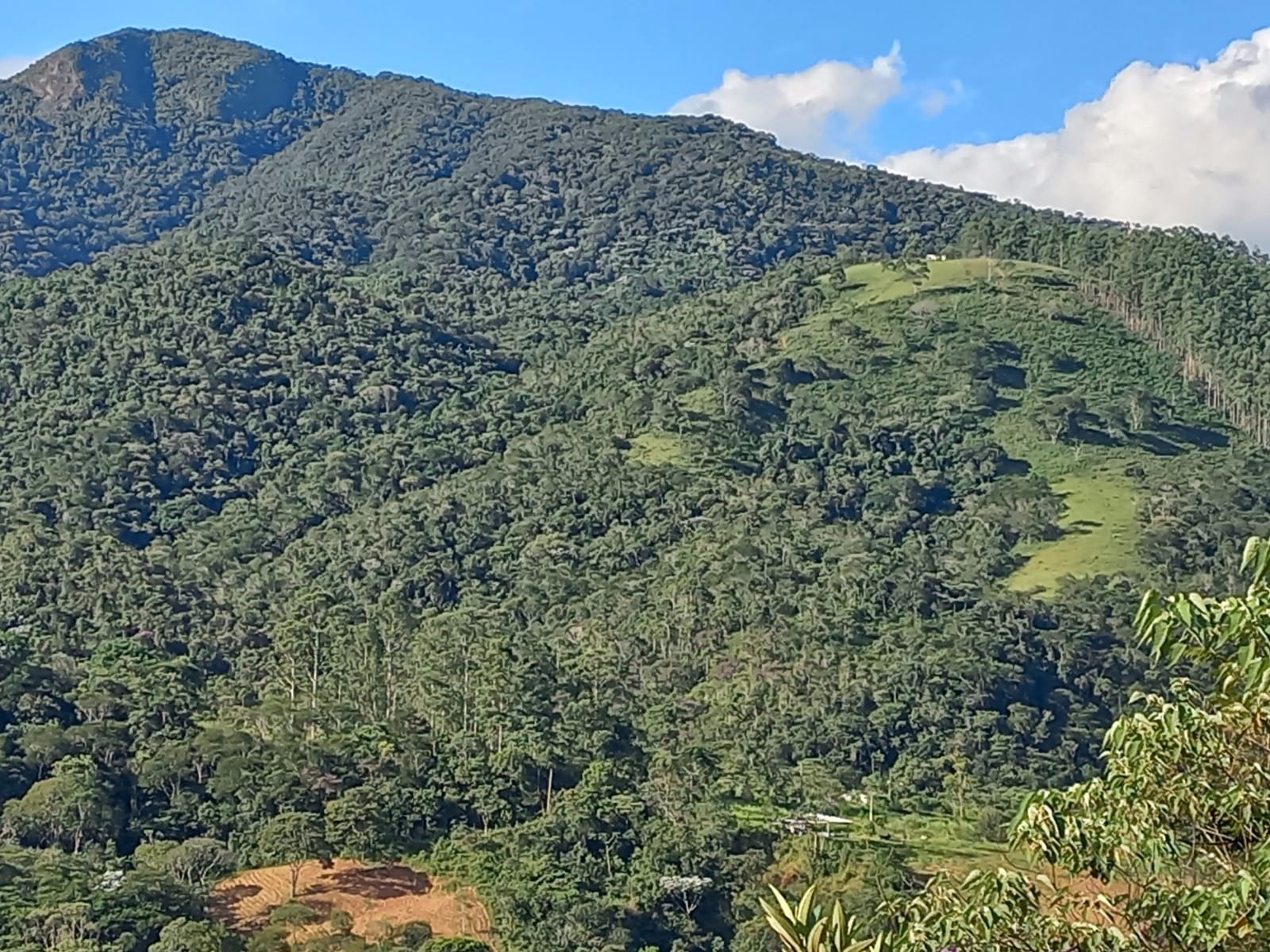 Terreno de 70 ha em Monteiro Lobato, SP