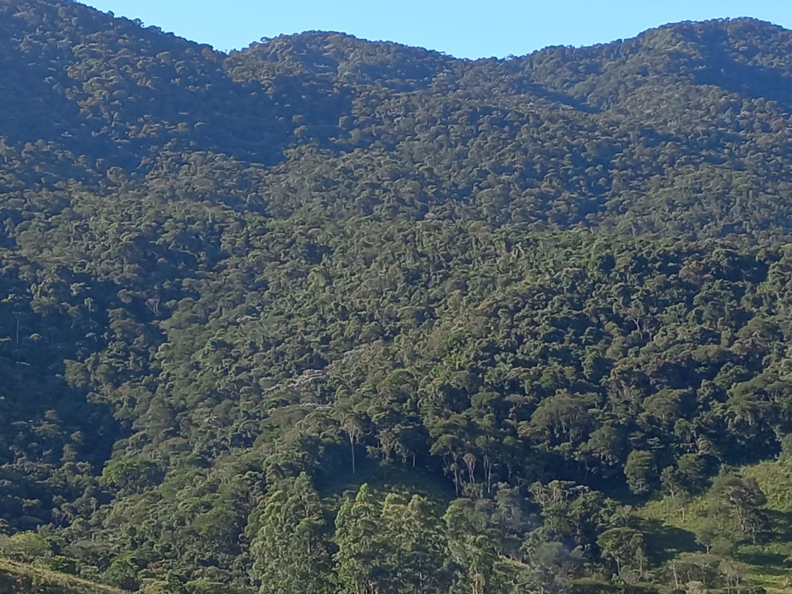 Terreno de 70 ha em Monteiro Lobato, SP