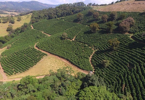 Fazenda de 101 ha em Cambuquira, MG