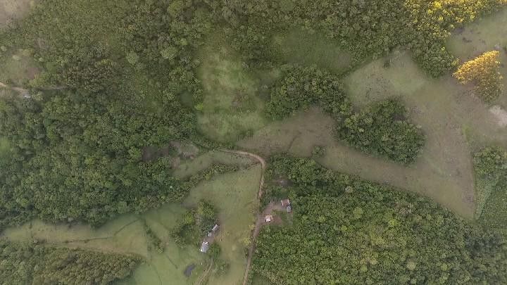 Chácara de 10 ha em Santo Antônio da Patrulha, RS