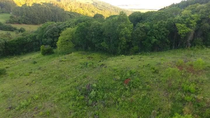 Chácara de 10 ha em Santo Antônio da Patrulha, RS