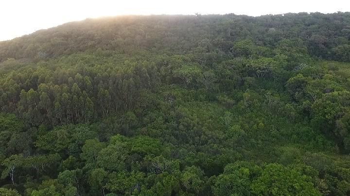 Chácara de 10 ha em Santo Antônio da Patrulha, RS