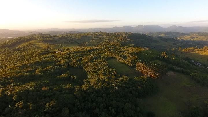 Chácara de 10 ha em Santo Antônio da Patrulha, RS