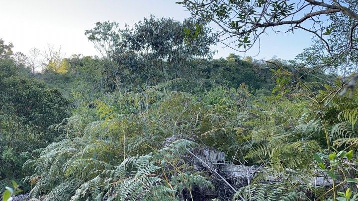 Chácara de 9.200 m² em Santo Antônio da Patrulha, RS