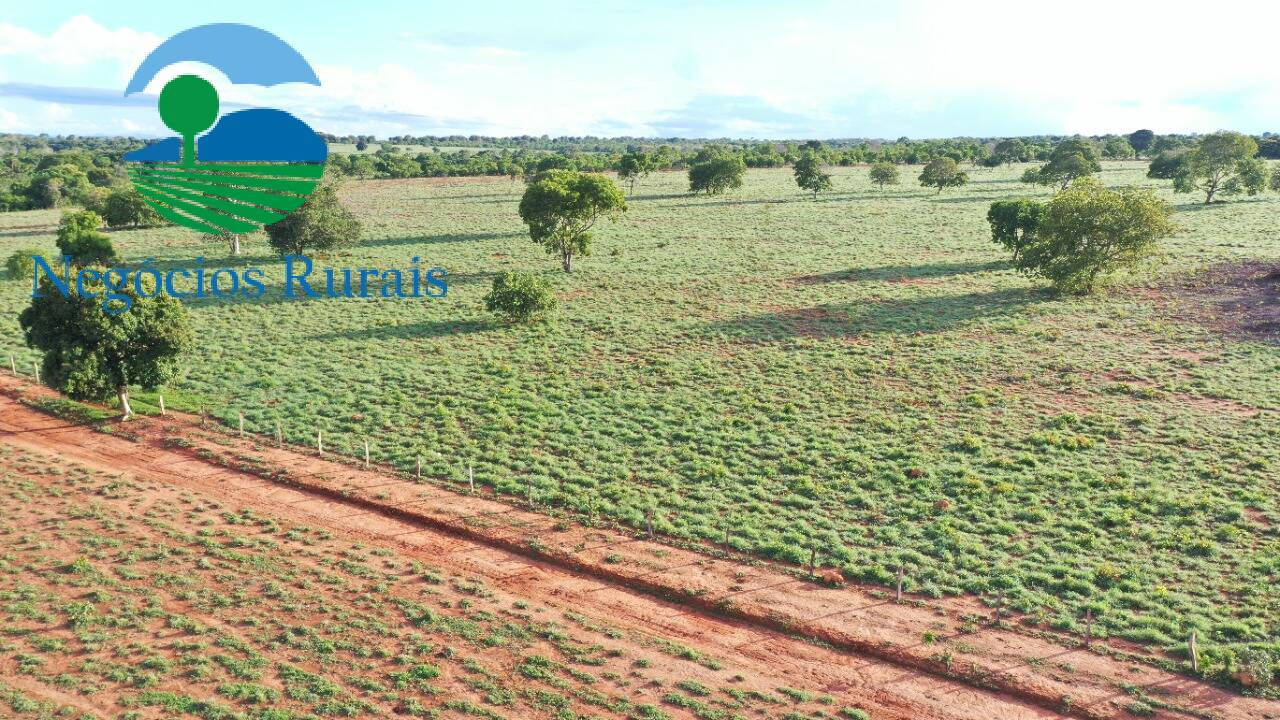 Fazenda de 817 ha em Novo Planalto, GO