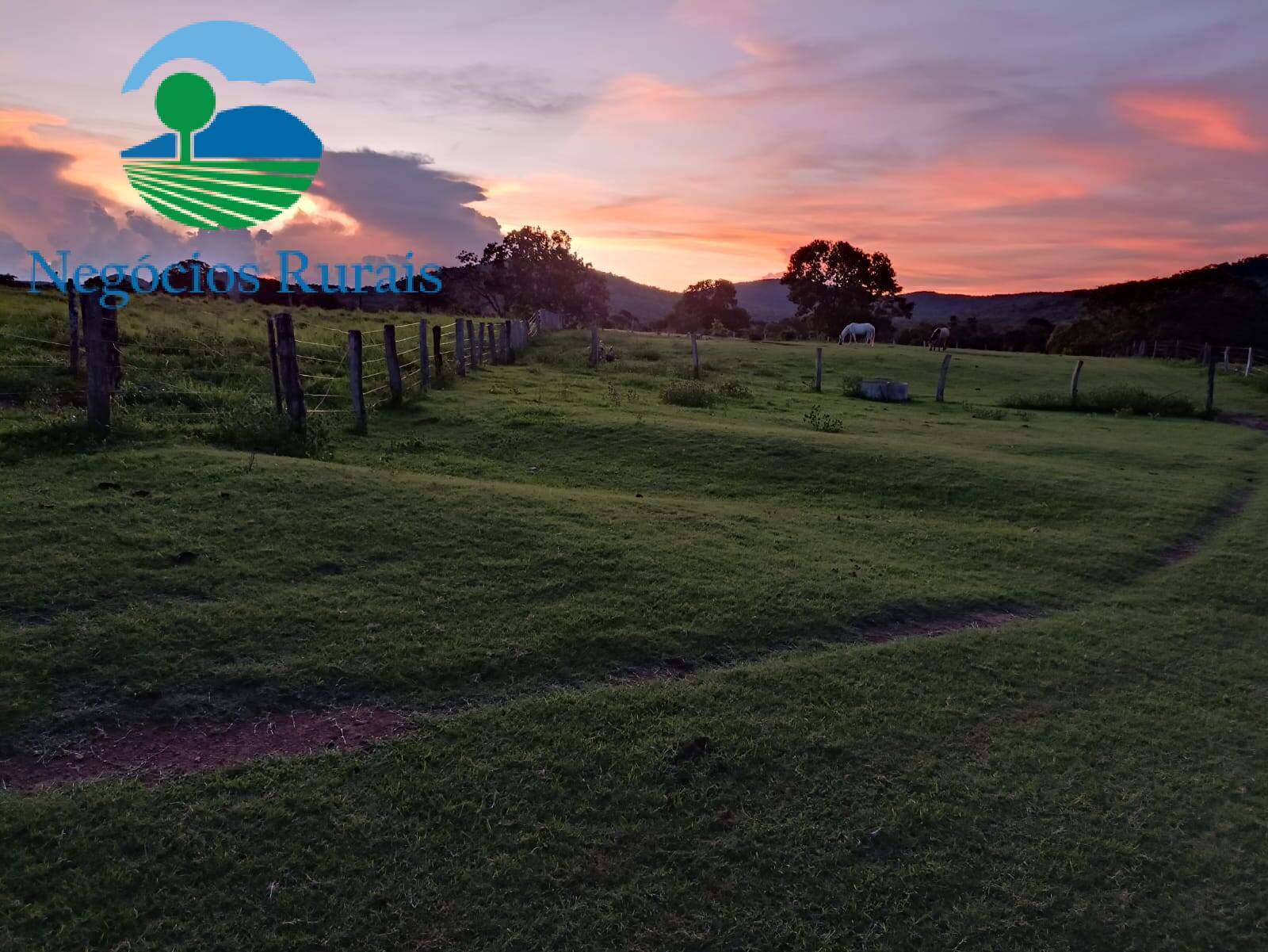 Fazenda de 817 ha em Novo Planalto, GO