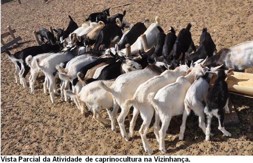 Fazenda de 17.520 ha em Muquém do São Francisco, BA