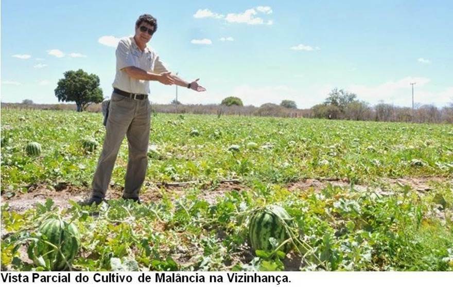 Fazenda de 17.520 ha em Muquém do São Francisco, BA