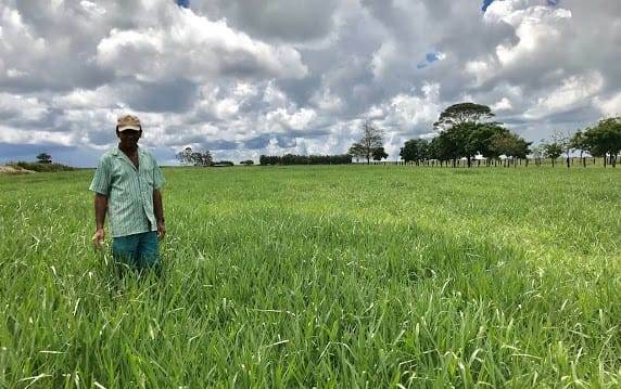 Fazenda de 17.520 ha em Muquém do São Francisco, BA