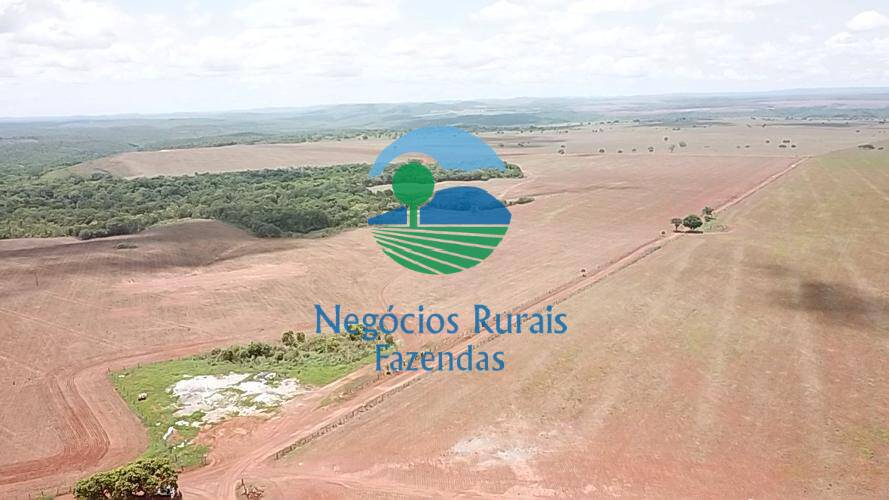 Fazenda de 1.393 ha em Santa Tereza de Goiás, GO