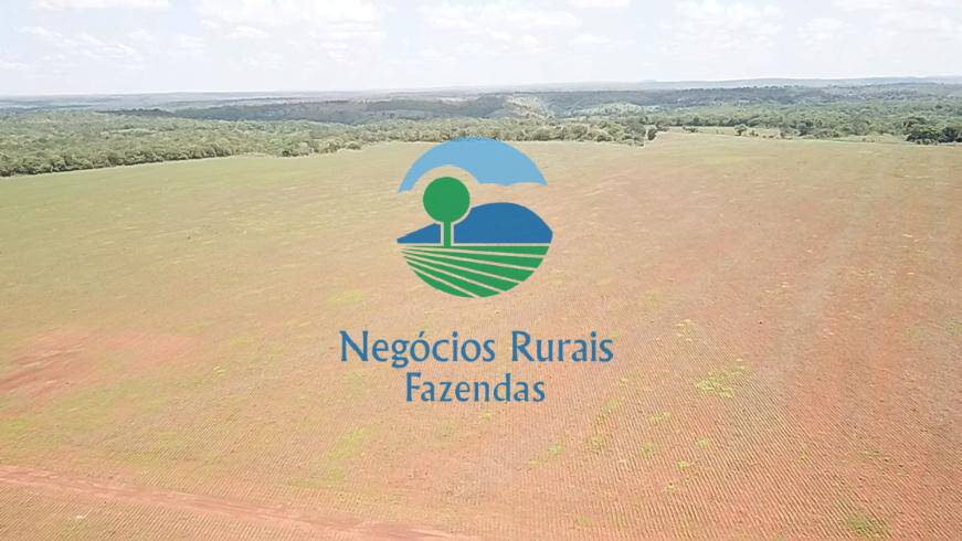 Fazenda de 1.393 ha em Santa Tereza de Goiás, GO