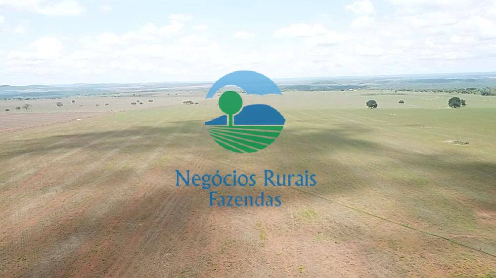 Fazenda de 1.393 ha em Santa Tereza de Goiás, GO