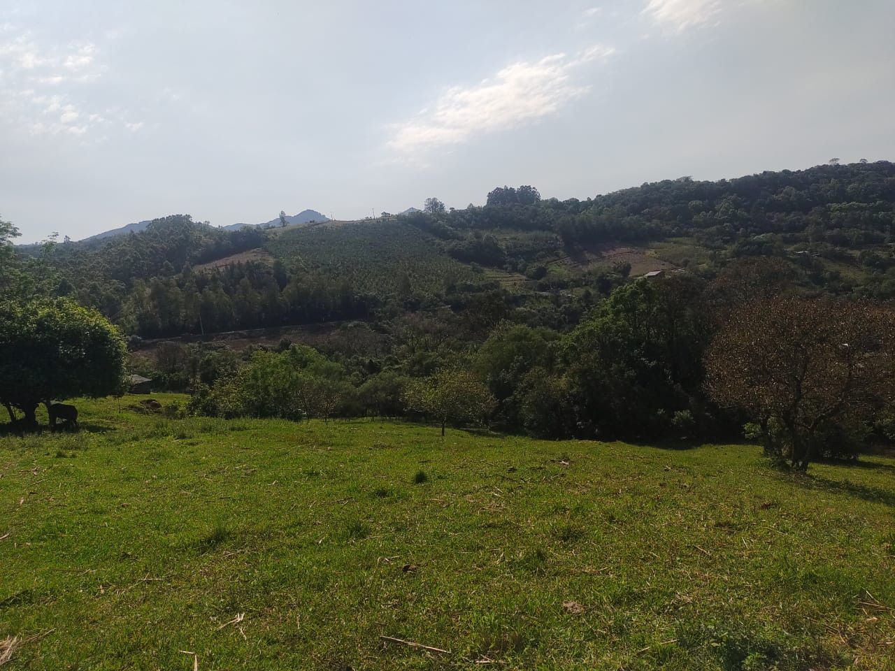 Chácara de 10 ha em Santo Antônio da Patrulha, RS