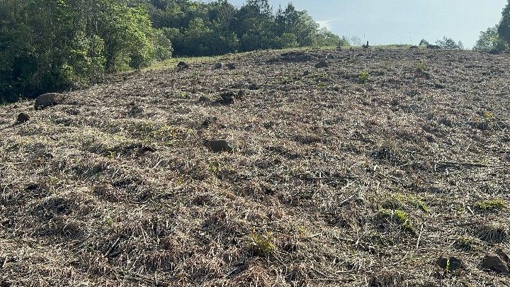 Chácara de 10 ha em Santo Antônio da Patrulha, RS