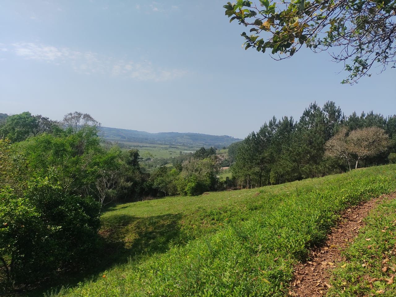 Chácara de 10 ha em Santo Antônio da Patrulha, RS