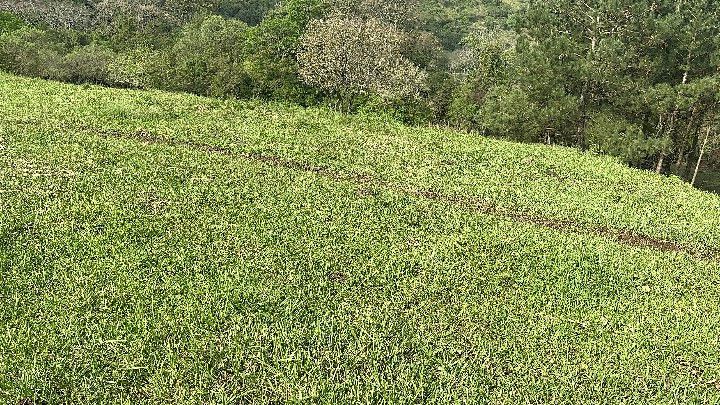 Chácara de 10 ha em Santo Antônio da Patrulha, RS