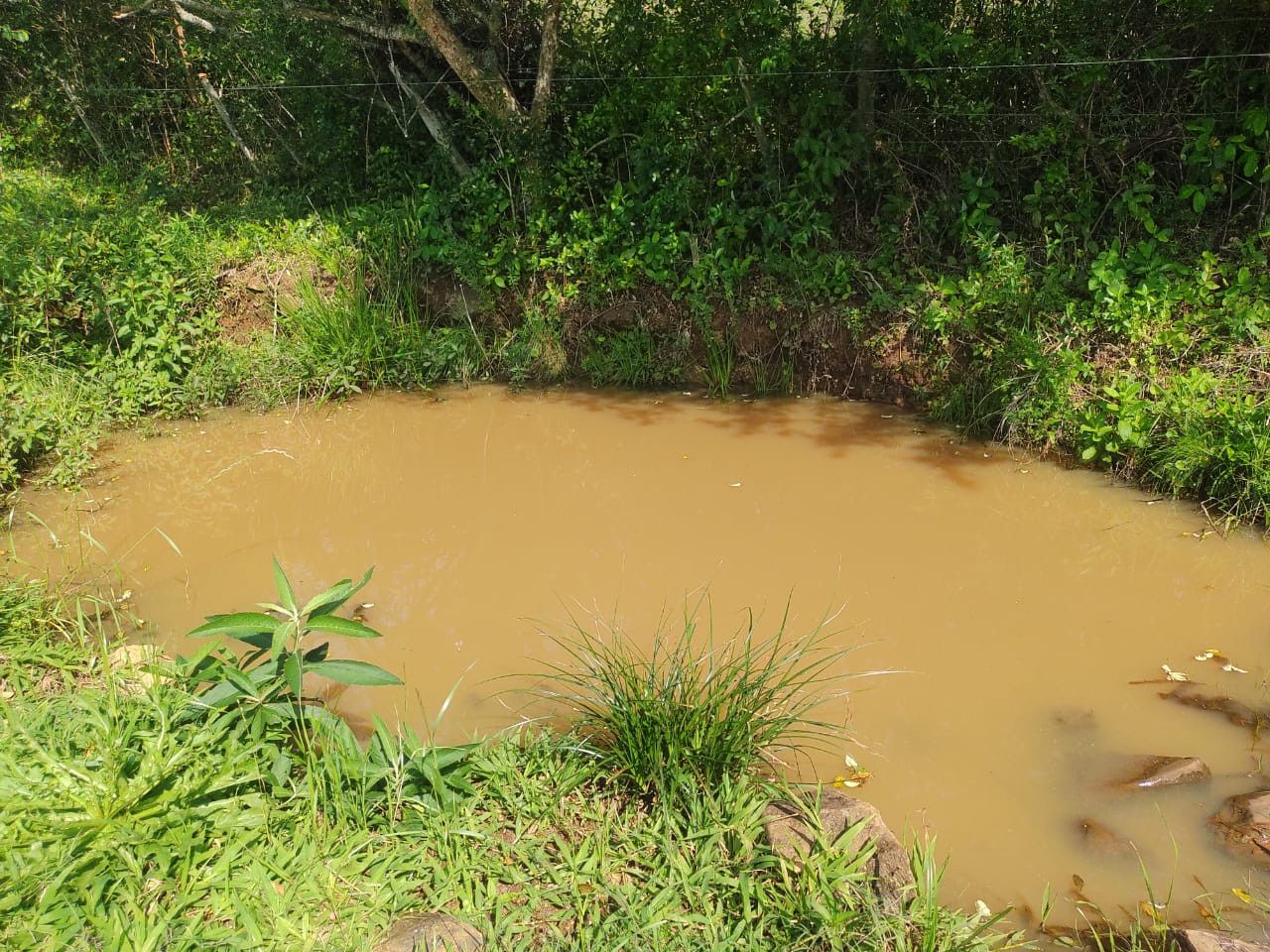 Chácara de 10 ha em Santo Antônio da Patrulha, RS