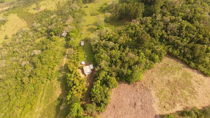 Chácara de 10 ha em Santo Antônio da Patrulha, RS