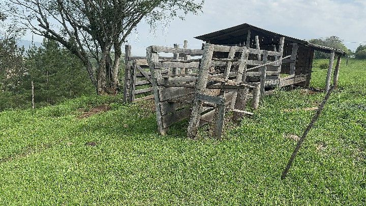 Chácara de 10 ha em Santo Antônio da Patrulha, RS