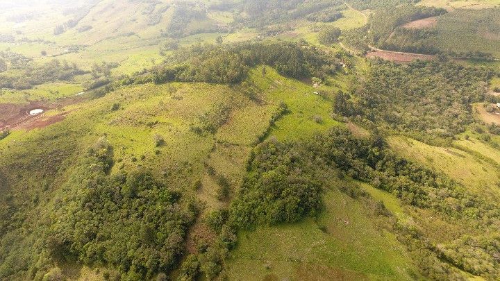 Chácara de 10 ha em Santo Antônio da Patrulha, RS