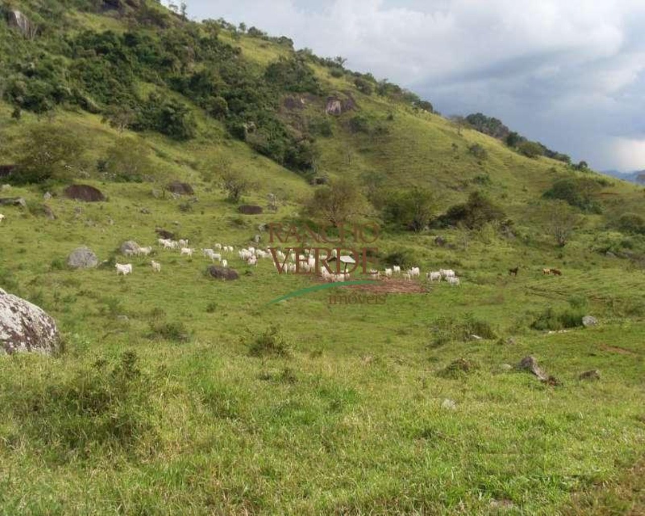 Fazenda de 98 ha em Paraisópolis, MG