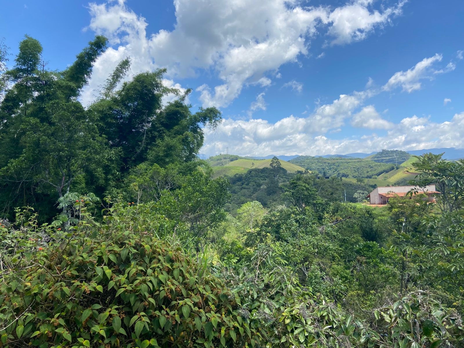 Chácara de 9.000 m² em Pindamonhangaba, SP