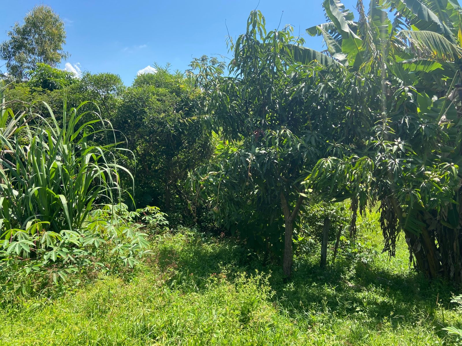 Chácara de 9.000 m² em Pindamonhangaba, SP