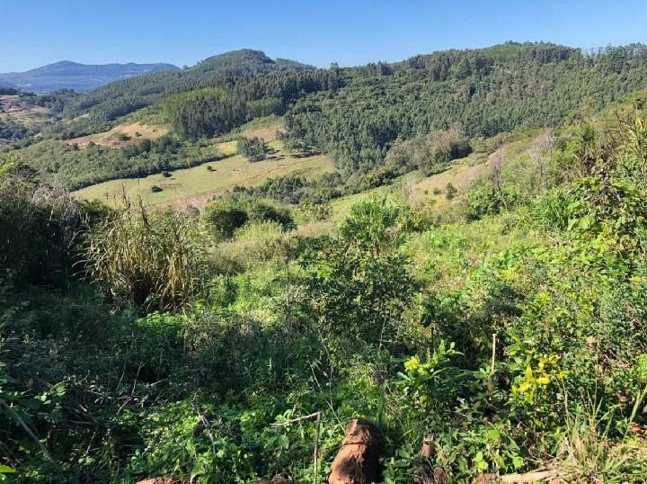 Chácara de 1 ha em Rolante, RS