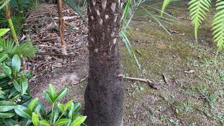 Chácara de 2.900 m² em Maquiné, RS