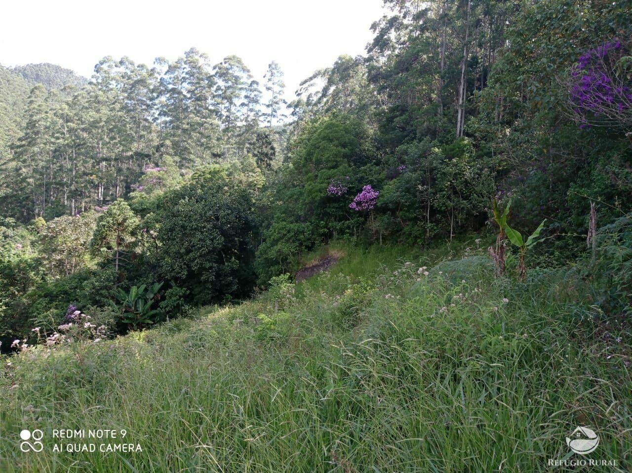 Terreno de 2 ha em São José dos Campos, SP