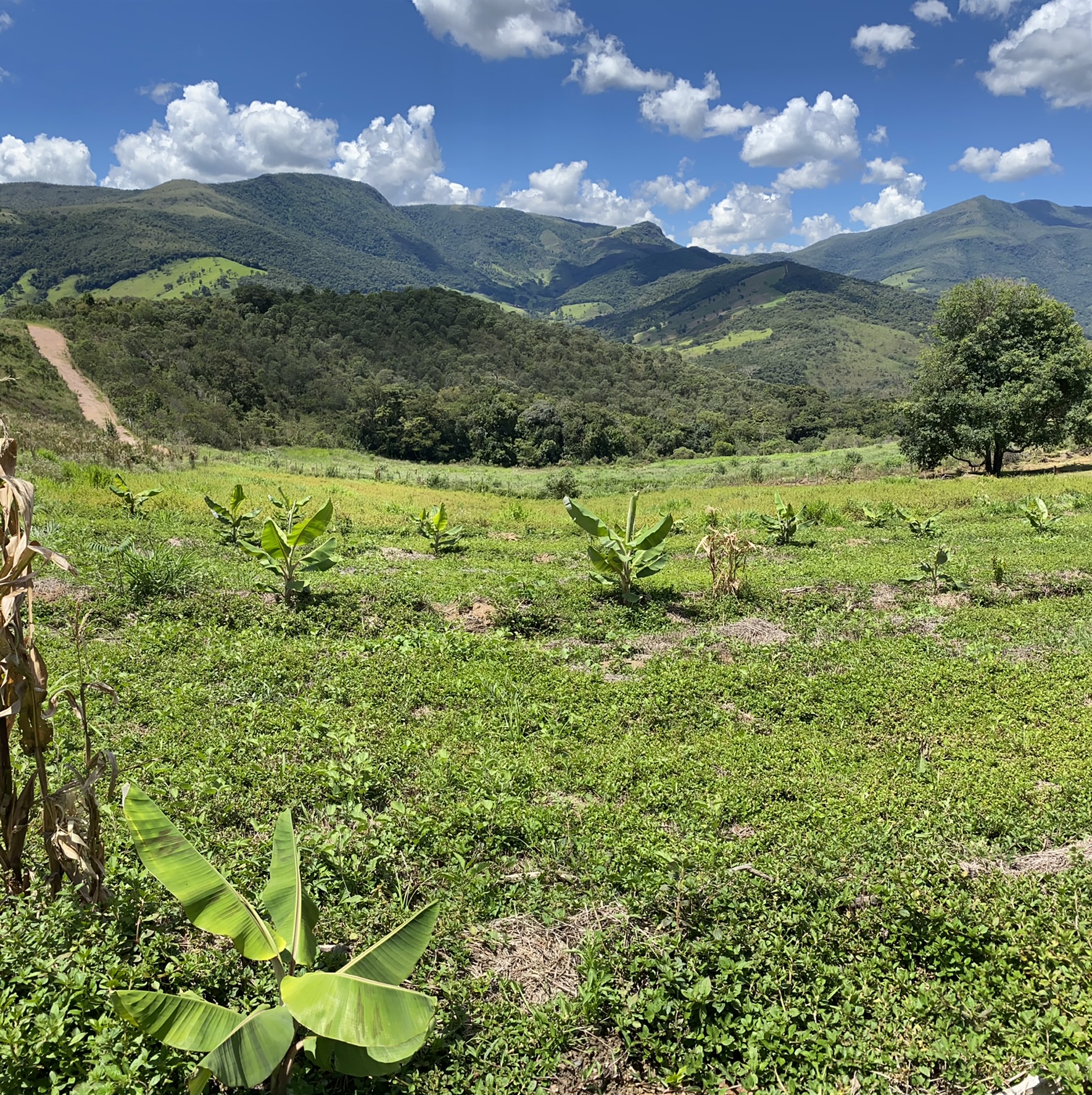 Sítio de 3 ha em Baependi, MG